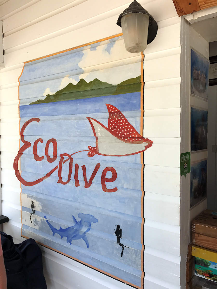 Awesome dive shop with some nice artwork