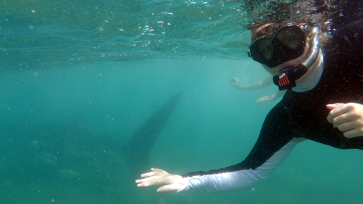 La Paz - Me and my new friend