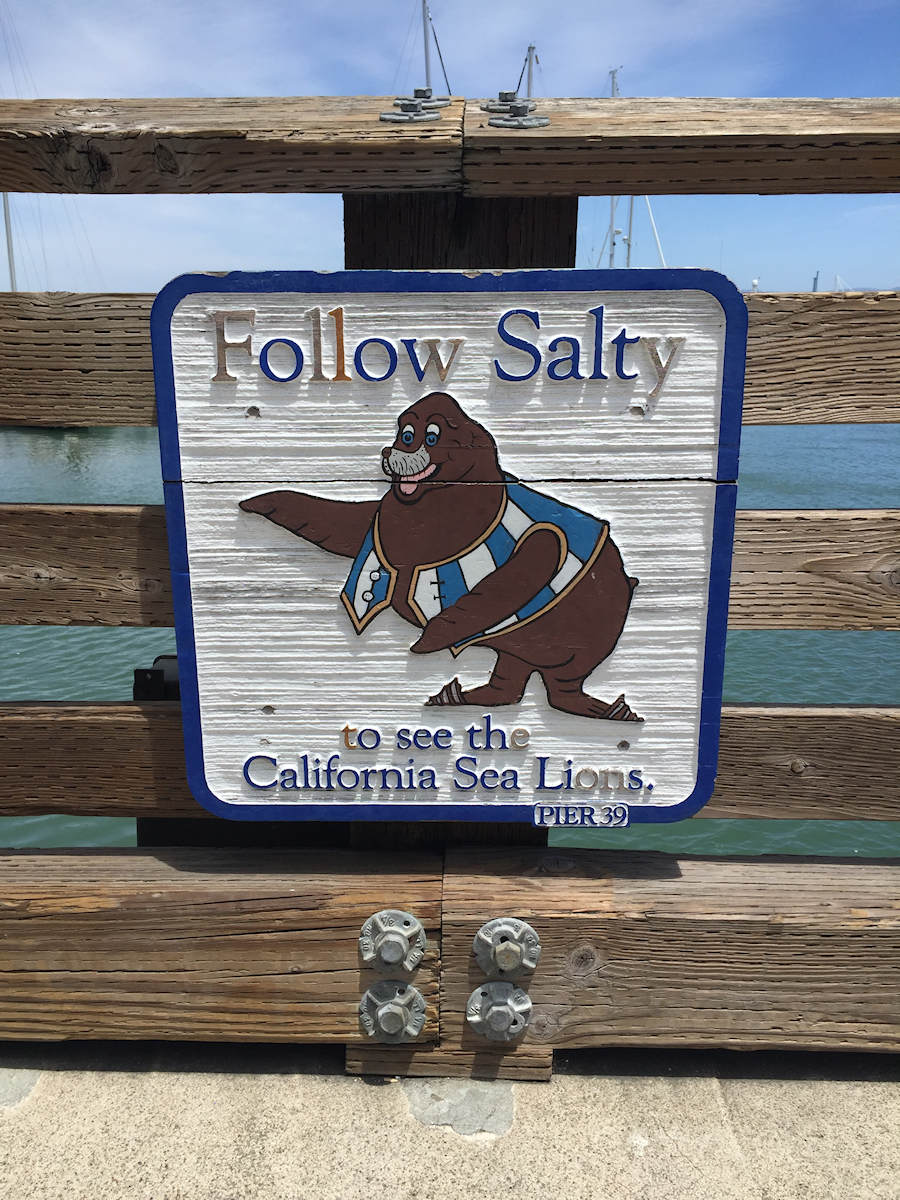 Follow Salty