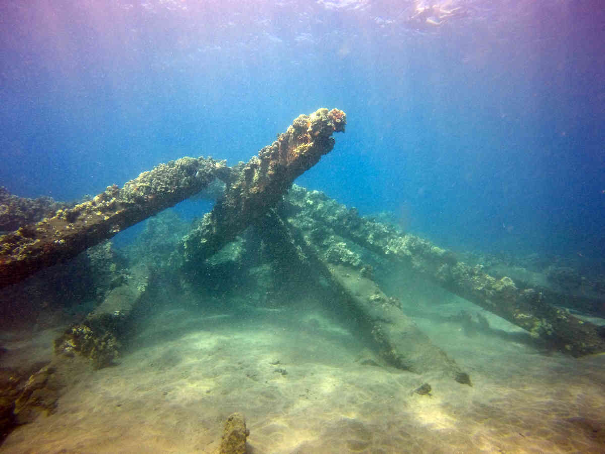 Lahaina - Much prettier under the water