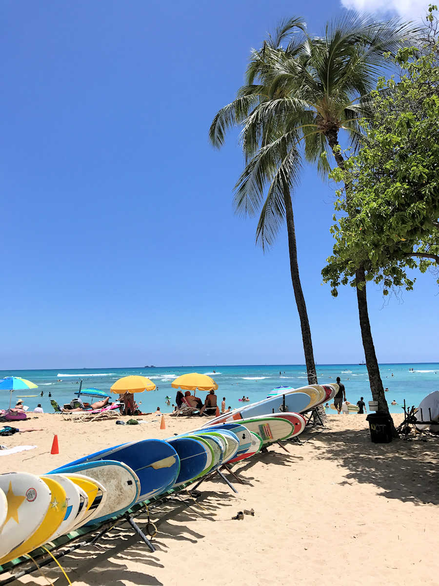 Waikiki - Surfboards