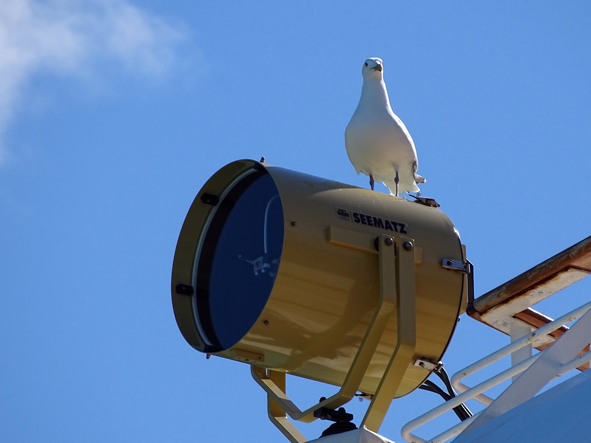 Cruising Glacier Bay - visitors
