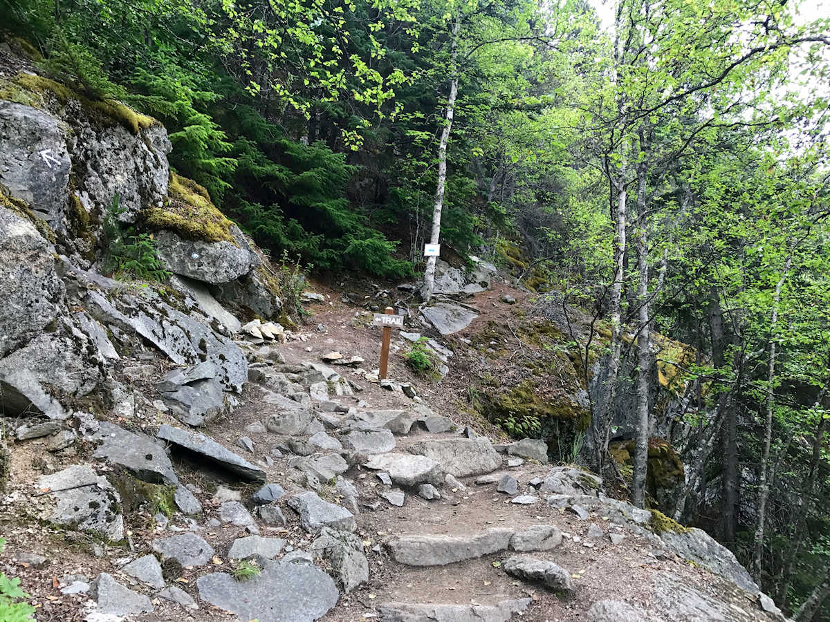 Hiking in Alaska - start