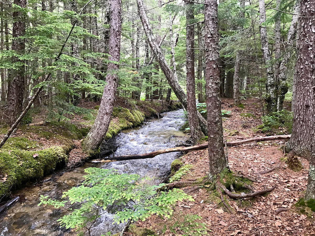 Cold mountain streams