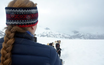 Dog sledding in Juneau, Alaska