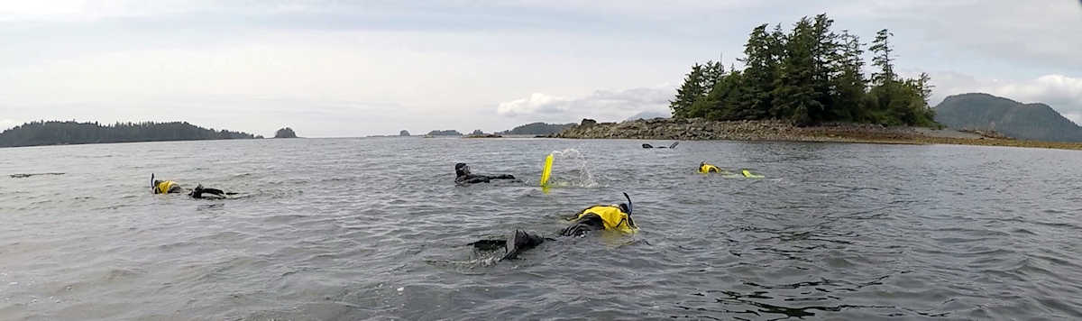 Everyone exploring their own piece of the beach