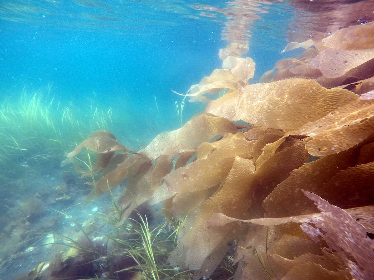 Such a cool experience