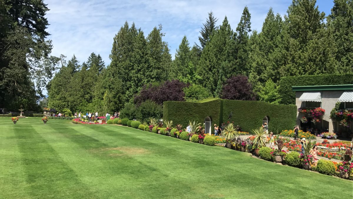 Butchart Gardens - viewpoint