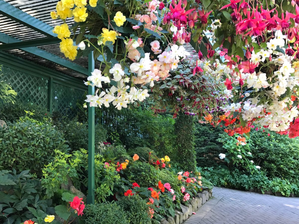 Buchart Gardens, BC, Canada - flowers everywhere