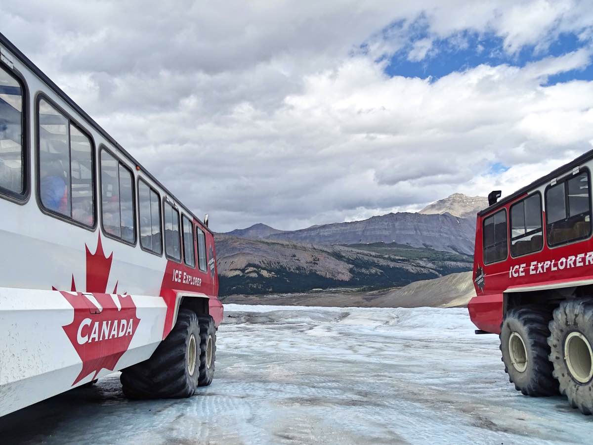 Columbia Icefields, Alberta, Canada - Terra busses