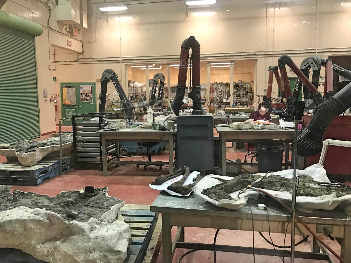 Drumheller, Alberta, Canada - Research centre