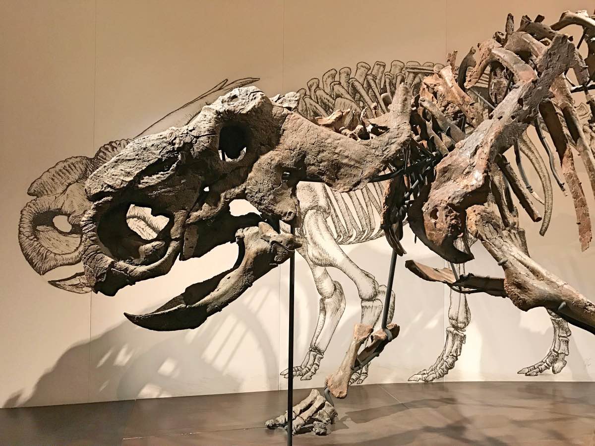 Drumheller, Alberta, Canada - Illustration