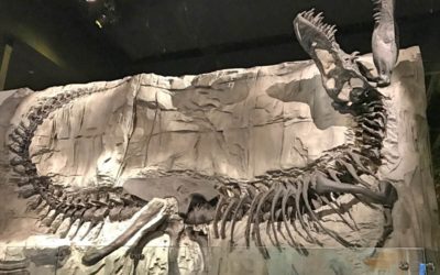 Drumheller, Alberta – Canada