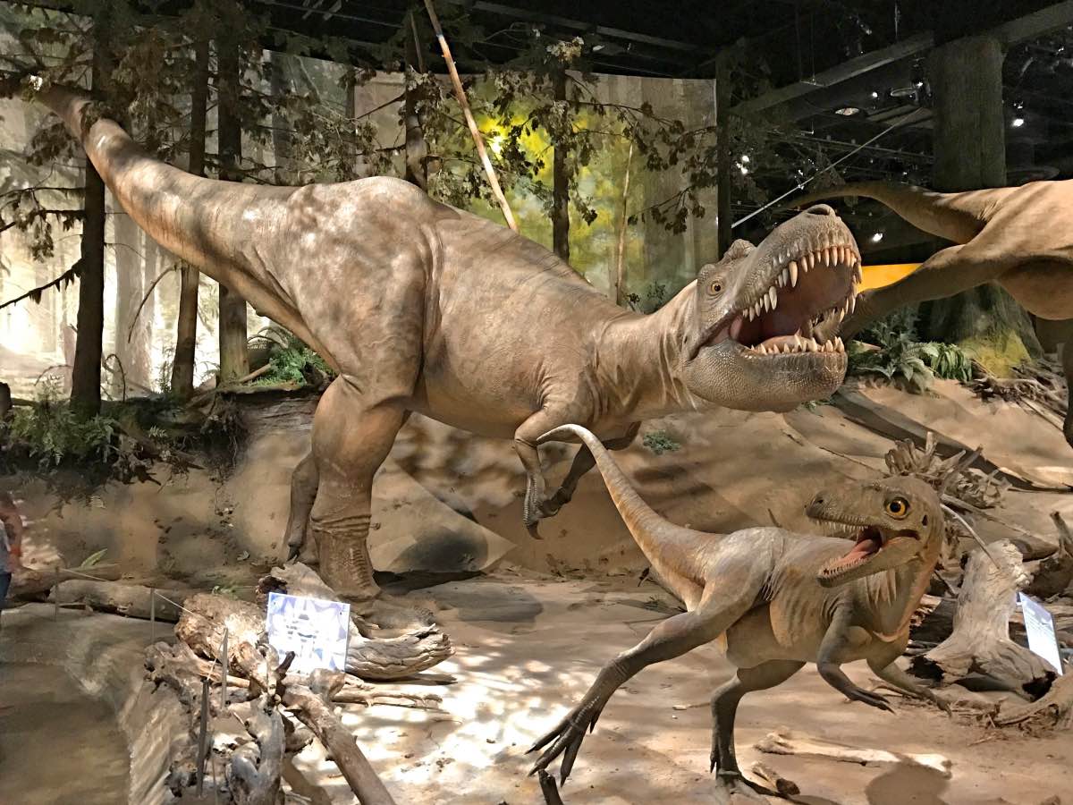 Drumheller, Alberta, Canada - Royal Tyrell