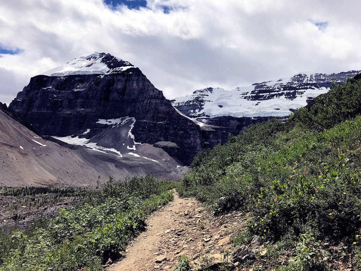 Lake Louise, Alberta, Canada - Small trail