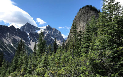 Hiking – Lake Louise, Alberta Canada
