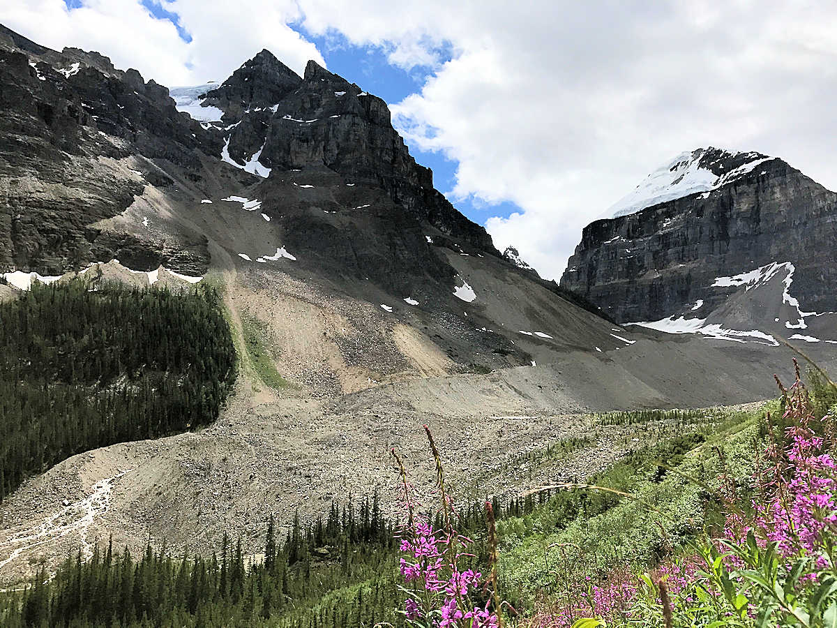 Lake Louise, Alberta, Canada - Flowers