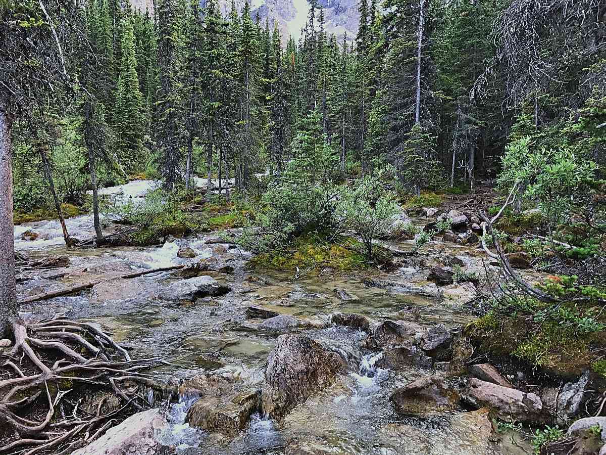 Moraine Lake - Glacial water stream