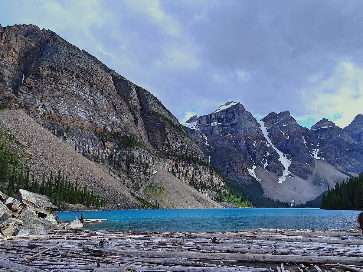 Moraine Lake - floating logs