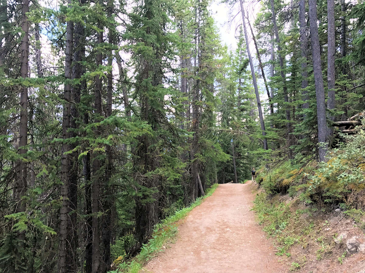 Sulphur Mountain, Alberta, Canada - Trail