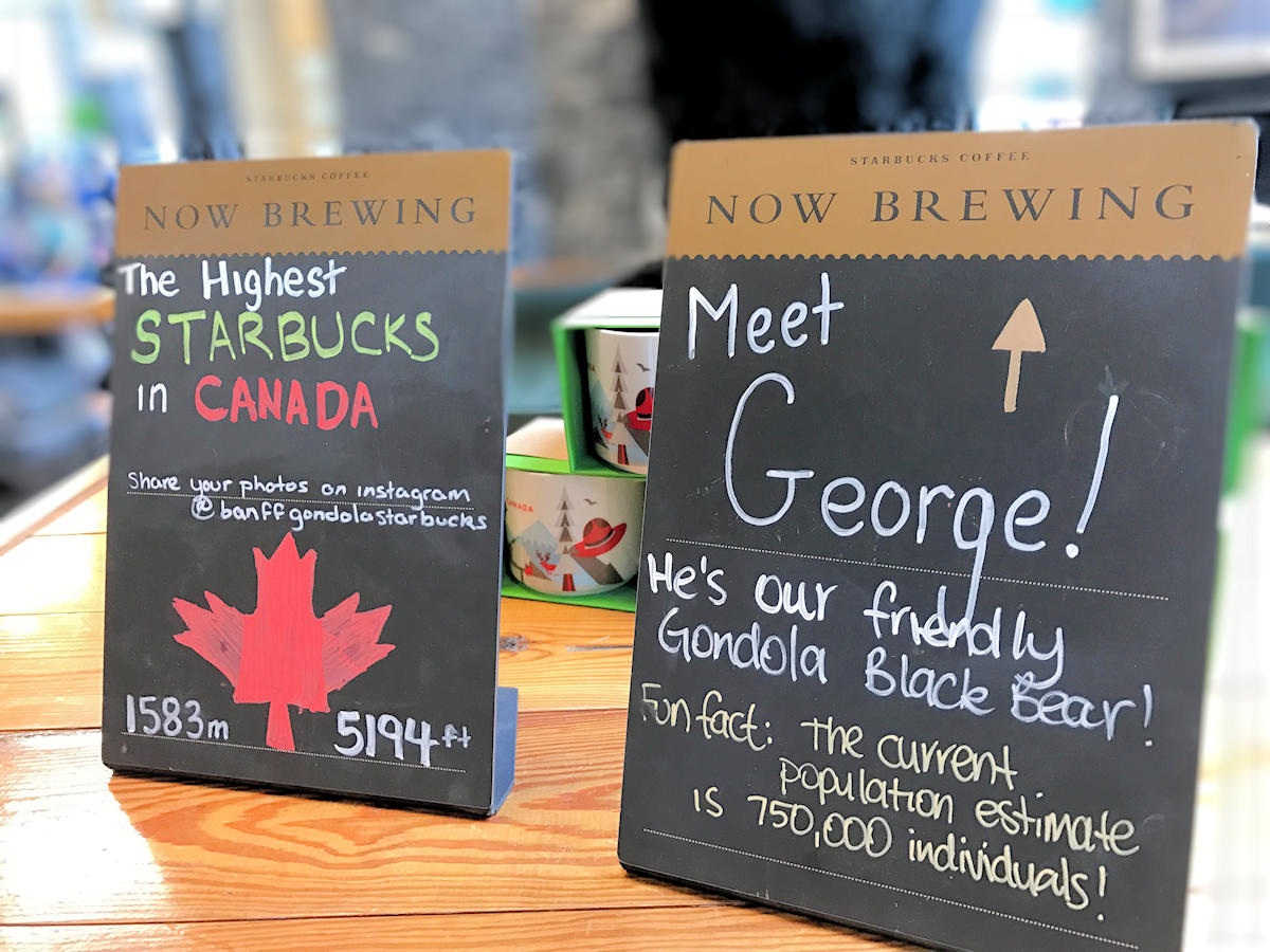 Sulphur Mountain, Alberta, Canada - Starbuck