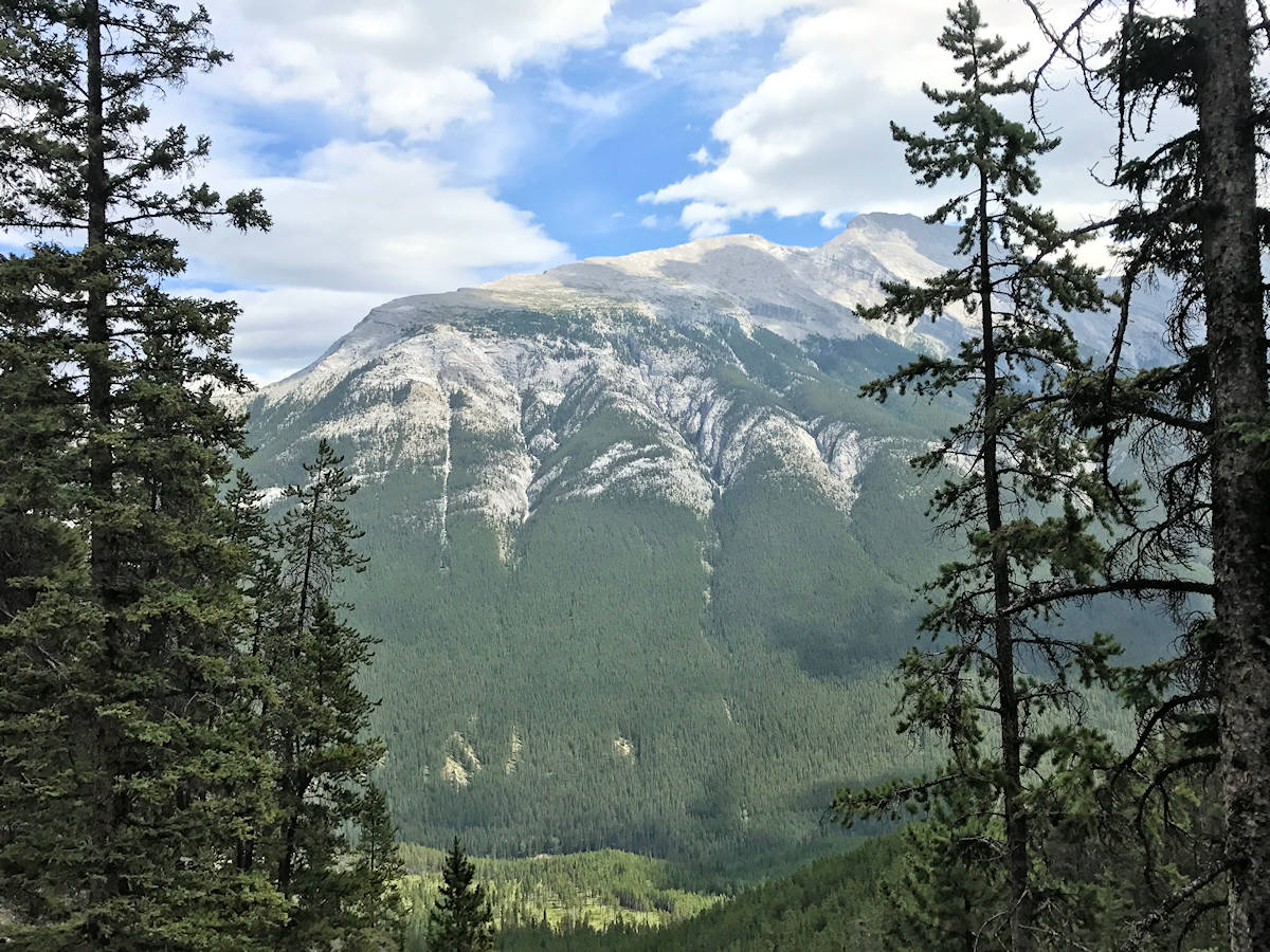Sulphur Mountain, Alberta, Canada - View