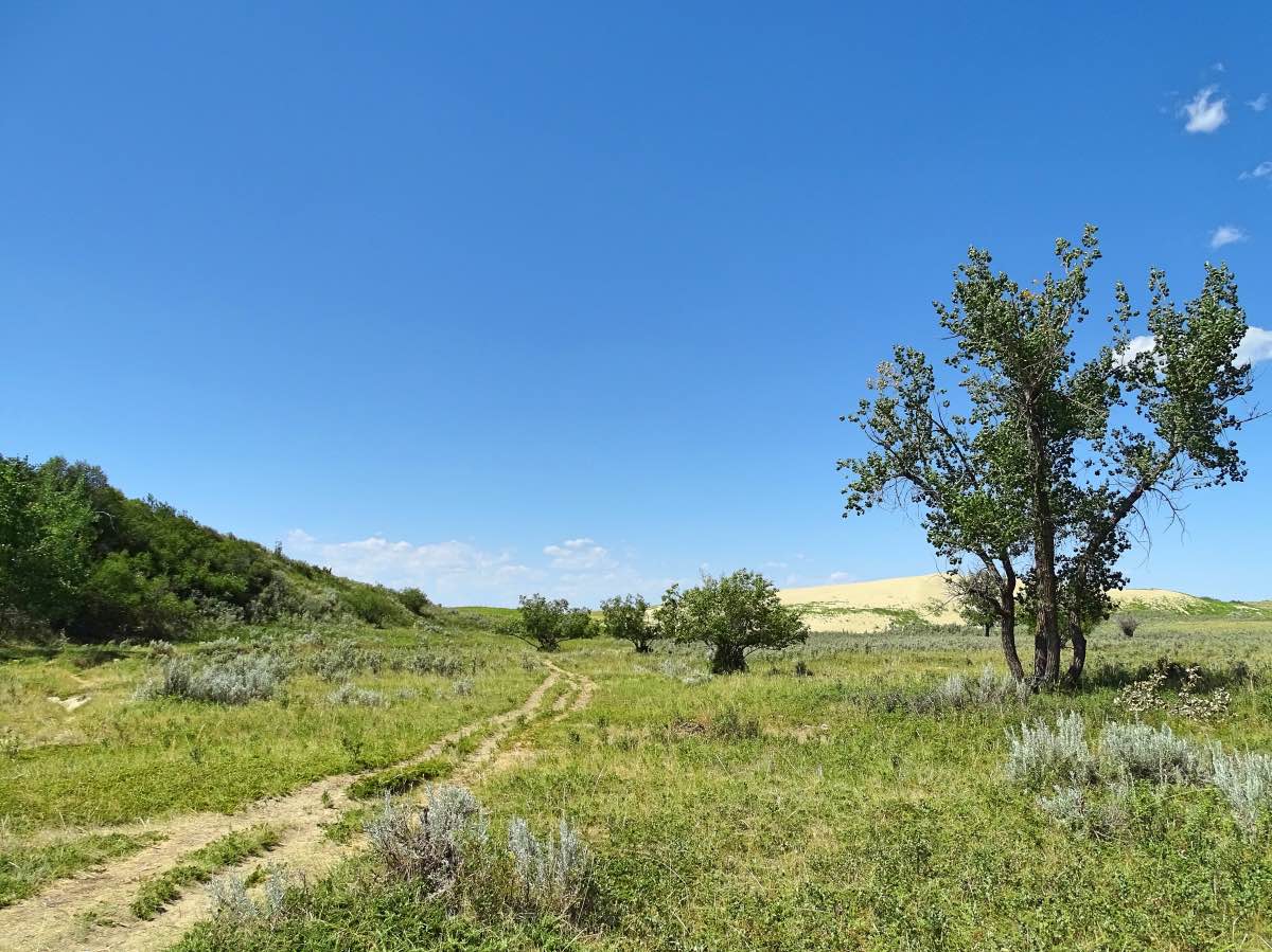 Sandhills, Saskatchewan, Canada - Parking