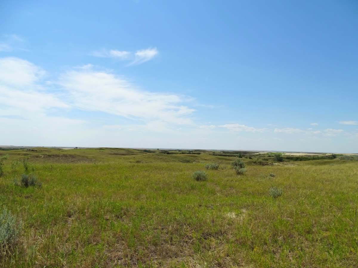 Sandhills, Saskatchewan, Canada - Landscape