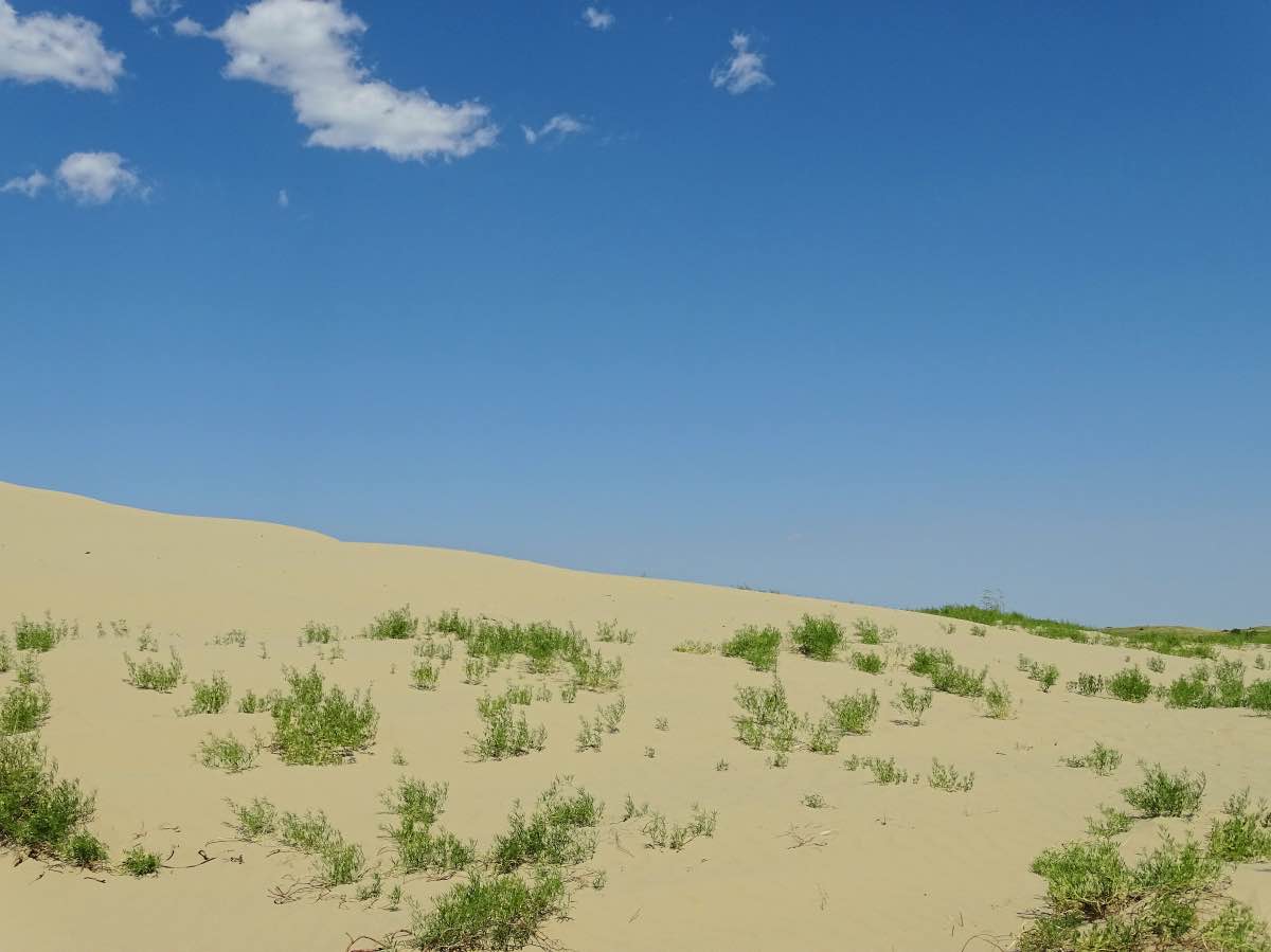 Sandhills, Saskatchewan, Canada - Sand