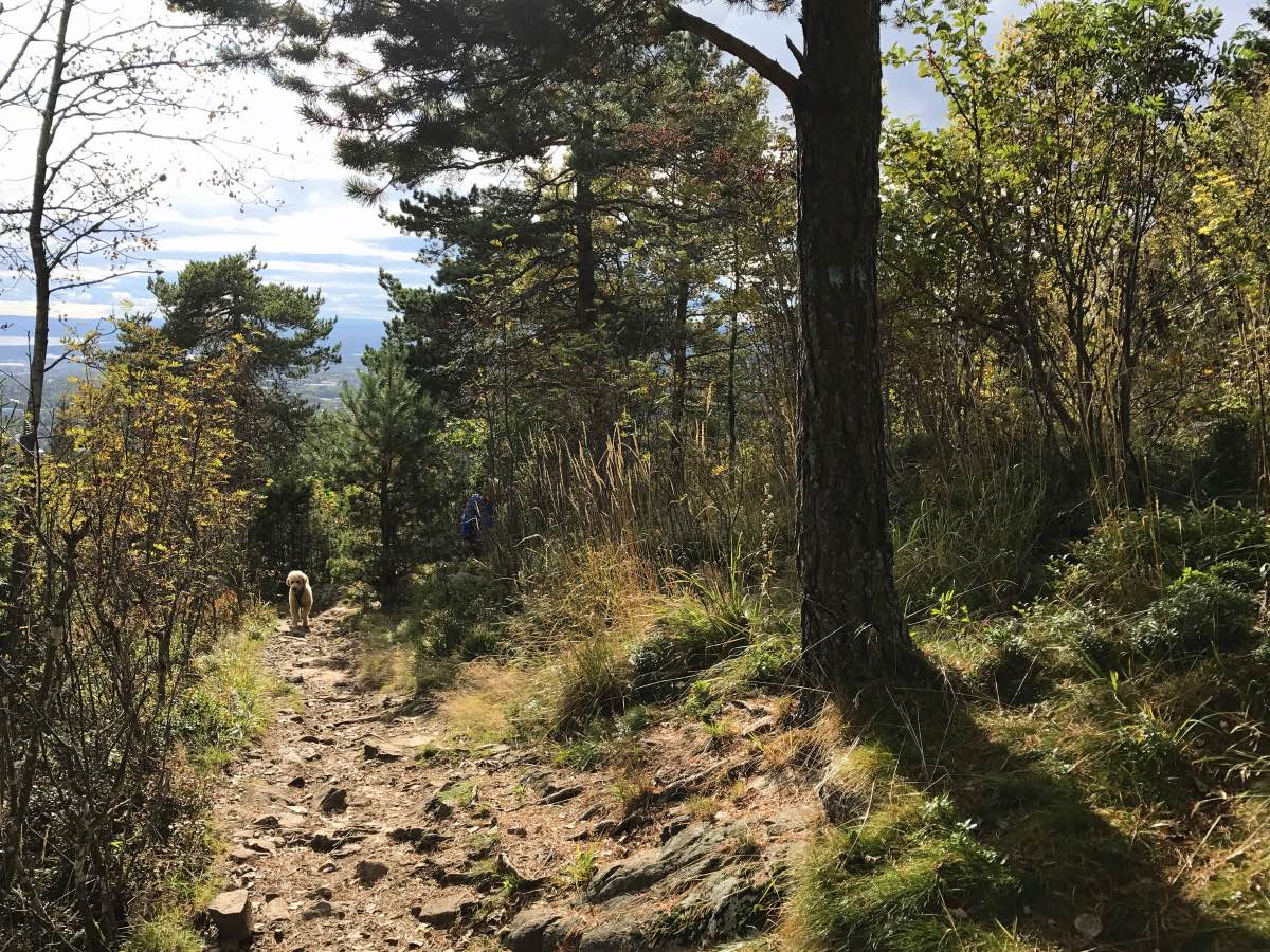 Vettakollen, Oslo, Norway - Trail