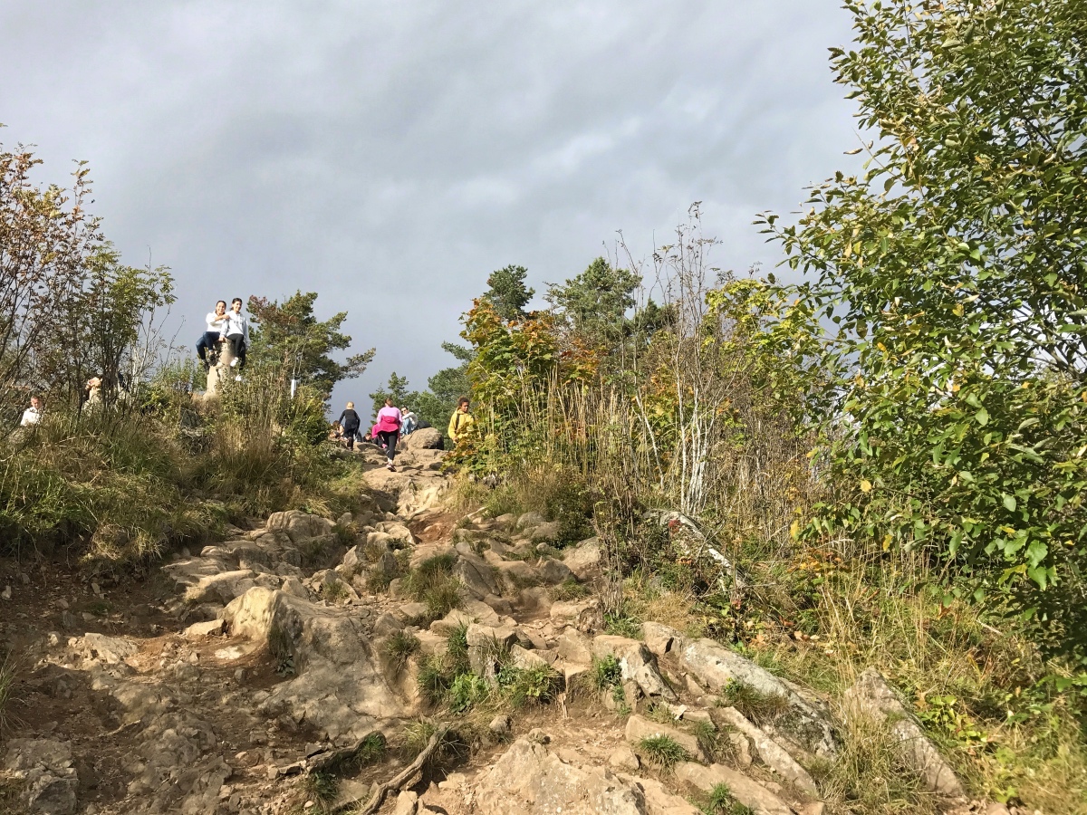Vettakollen, Oslo, Norway - Steep trail