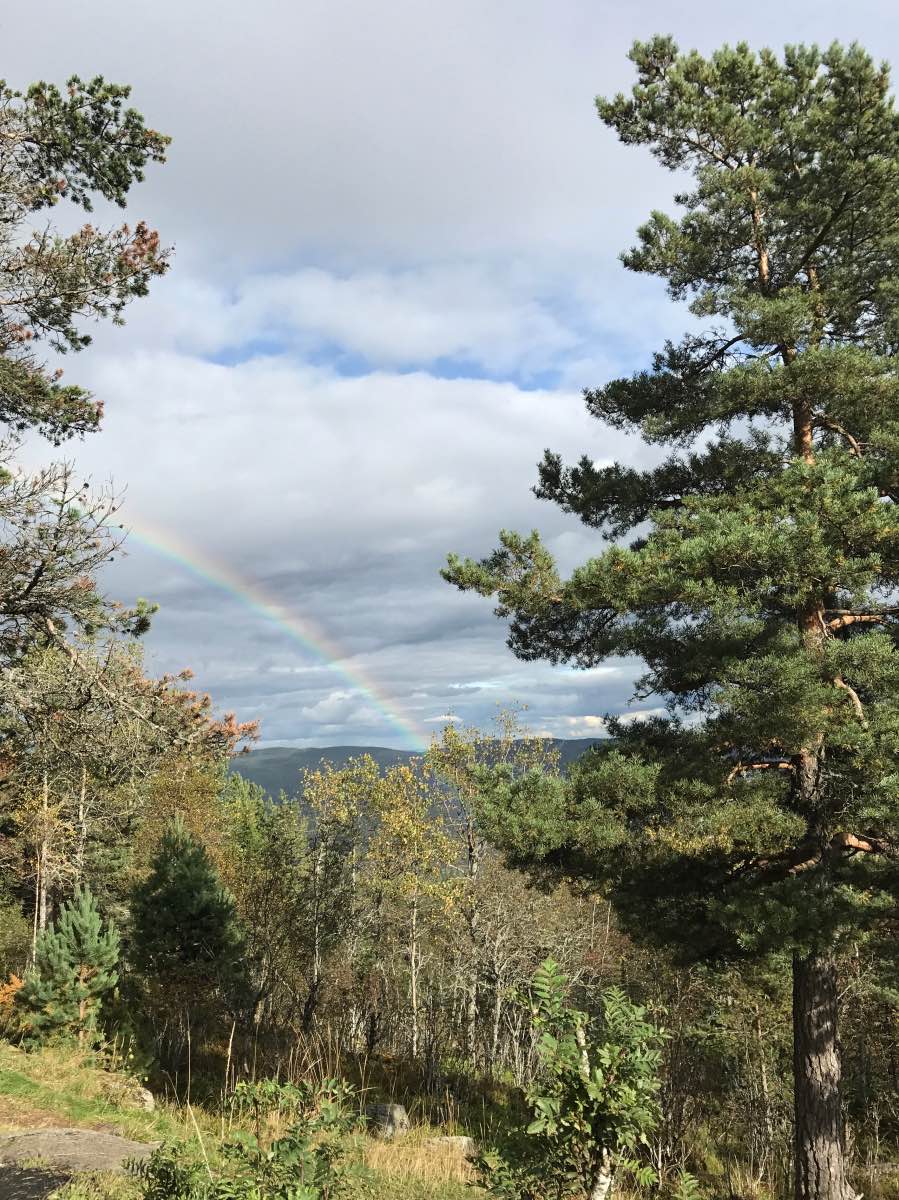 Vettakollen, Oslo, Norway - Rainbow