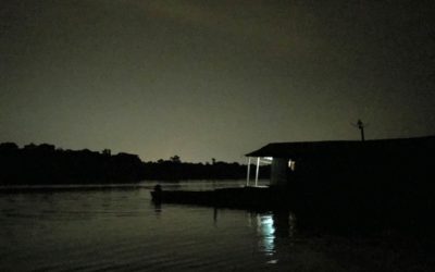 Caiman spotting in the Amazon River