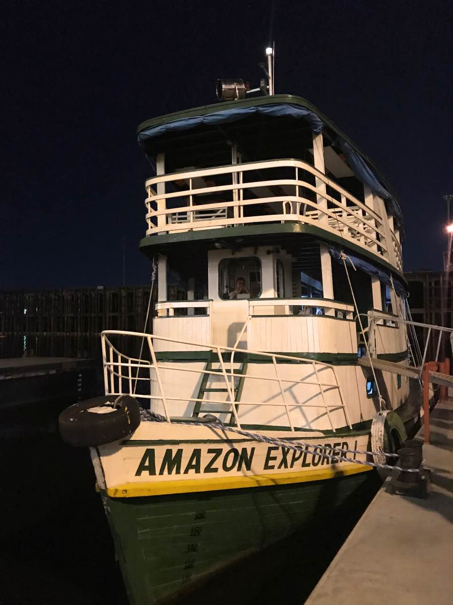 Caiman spotting – Riverboat