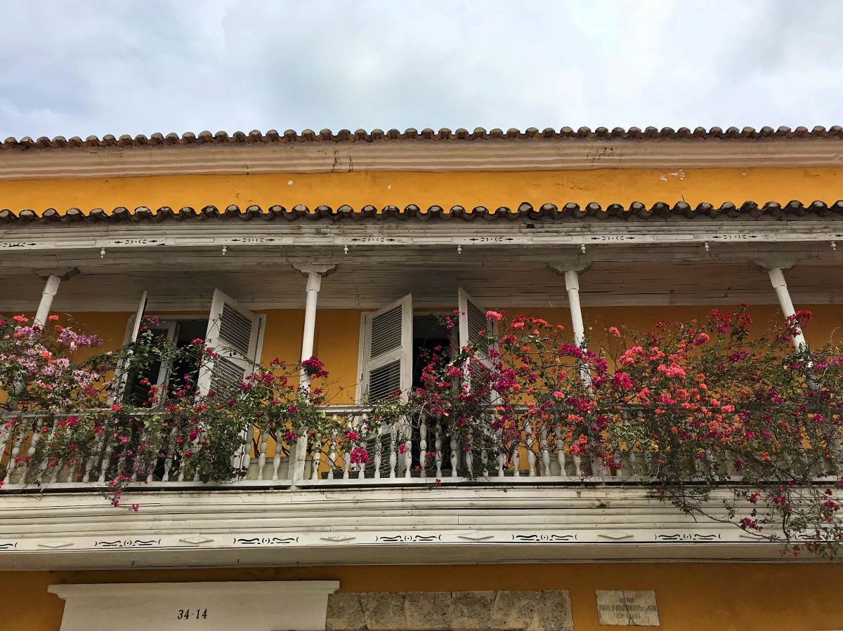 Cartagena - Bougainvillea