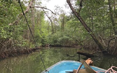 Bat Caves in Bocas del Toro, Panama