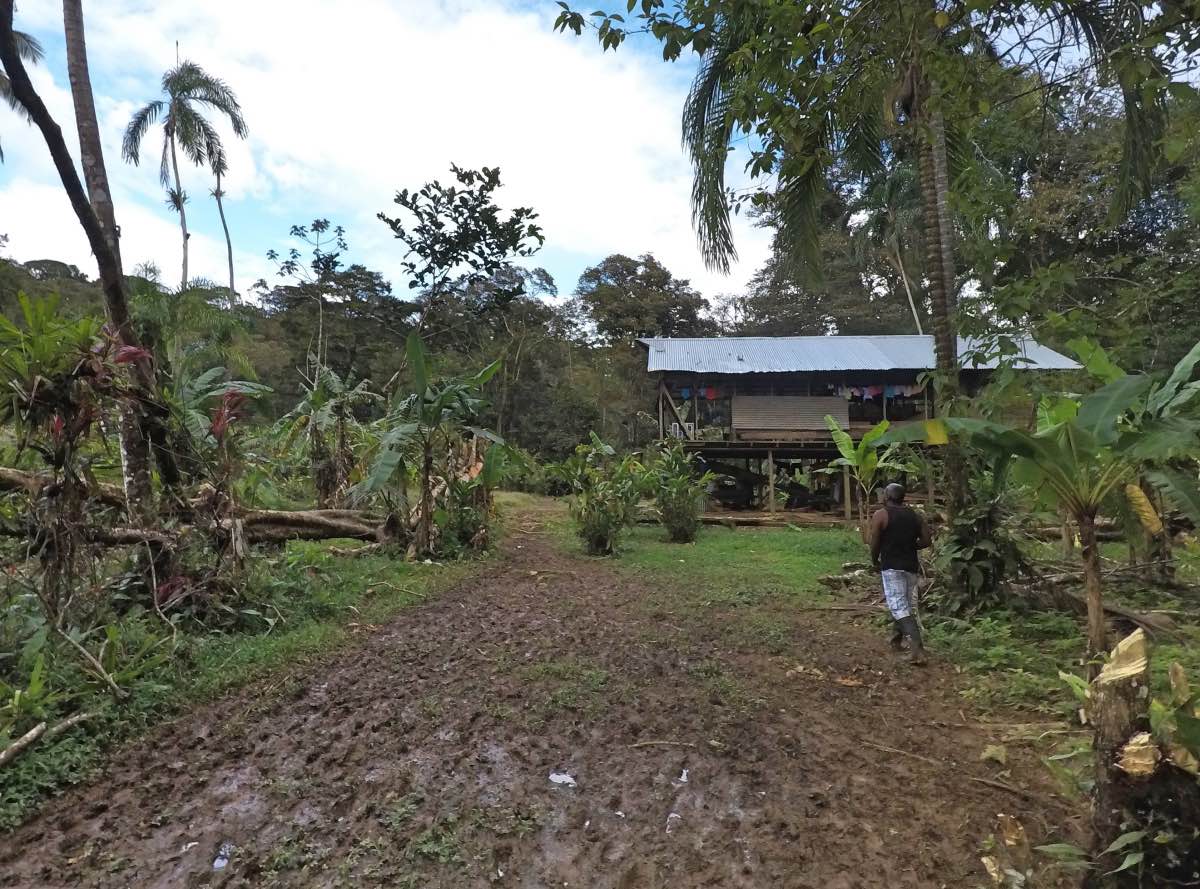 Bat Caves - Jungle entry