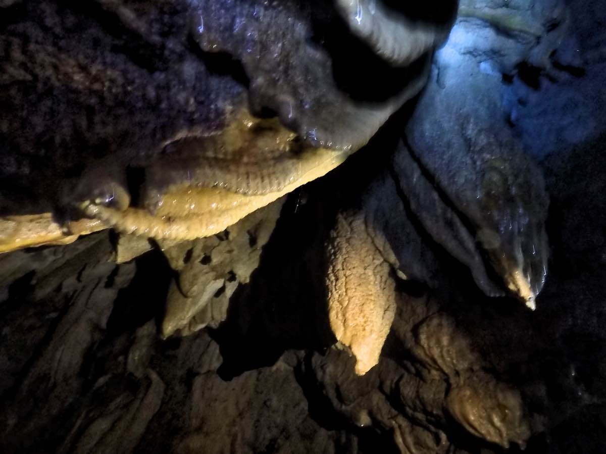 Bat Caves - Stalactites