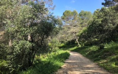 Dogwalks with French Riviera Animals