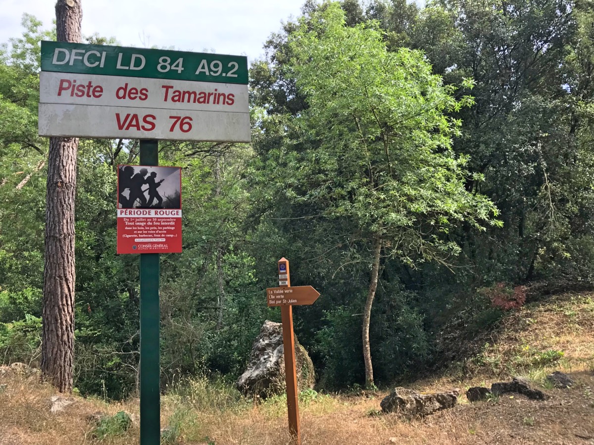 Dog walk - Sign posts