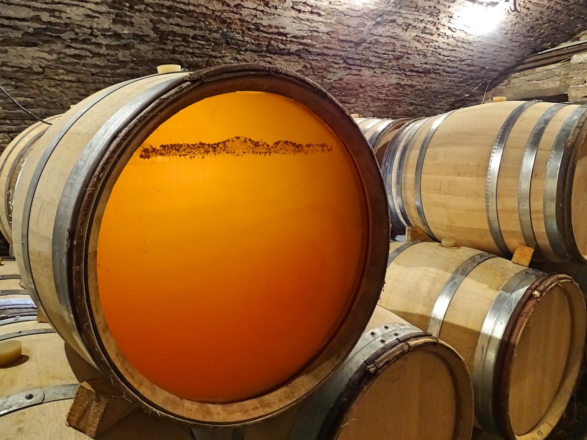 Auxey - See through barrel