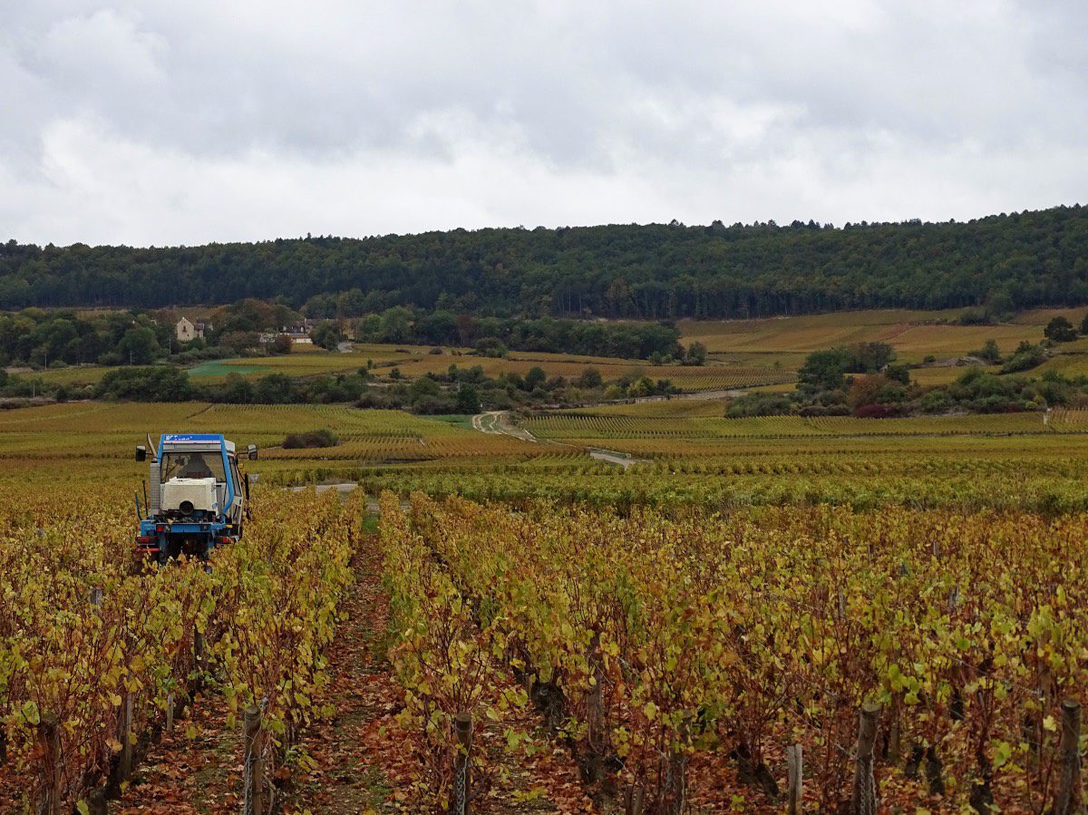 Auxey - Special tractor