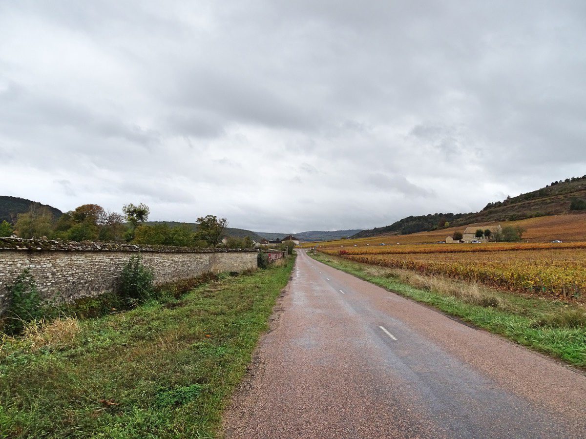 Auxey - Vineyard road