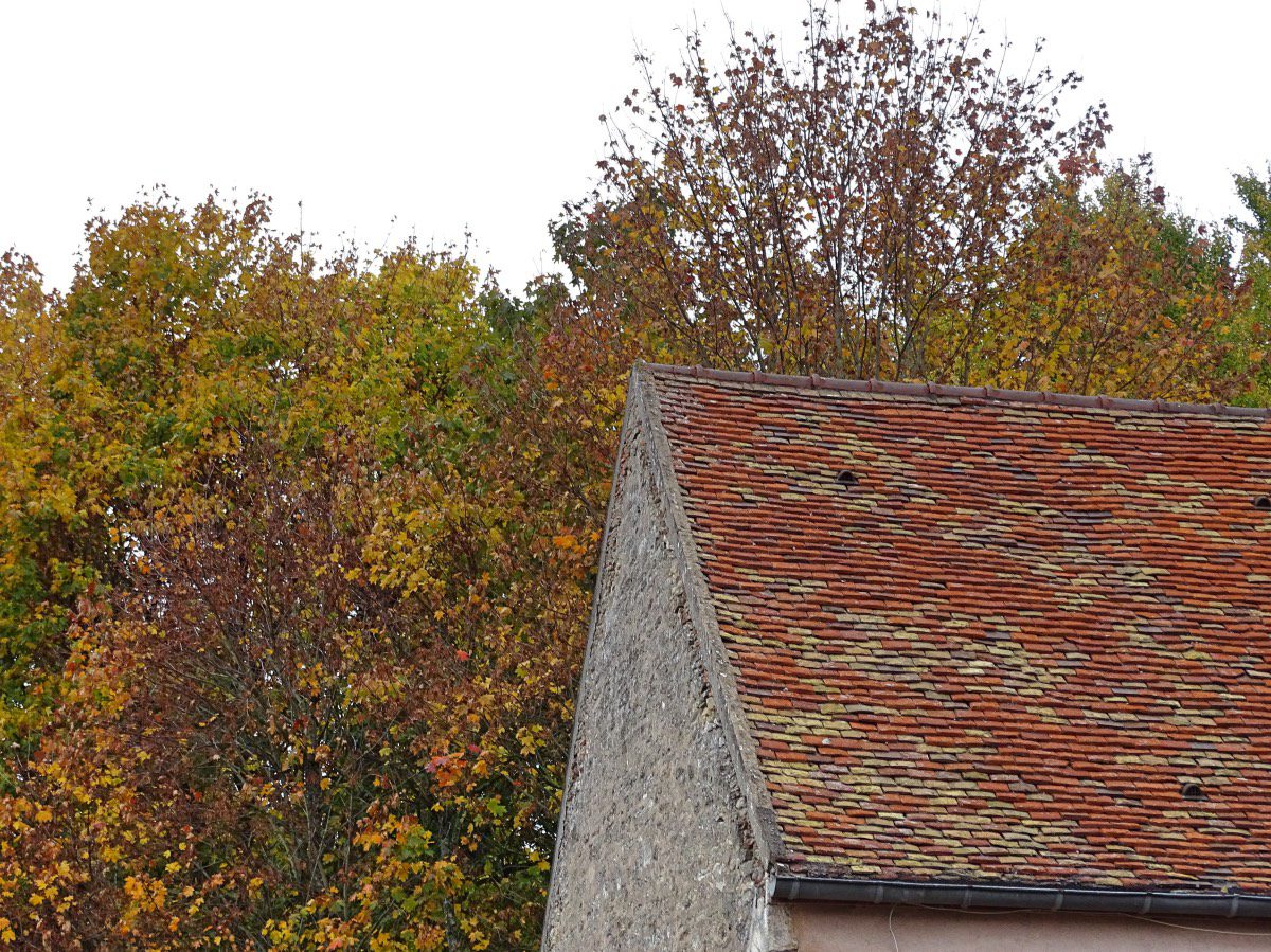 Auxey - House matching trees