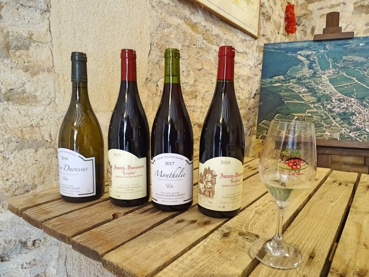 Auxey - Wine tasting