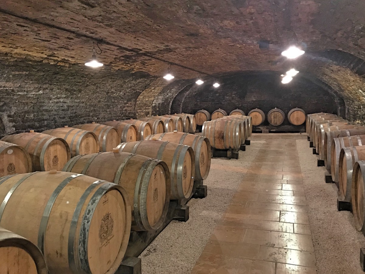 Burgundy - Wine cellar with barrels