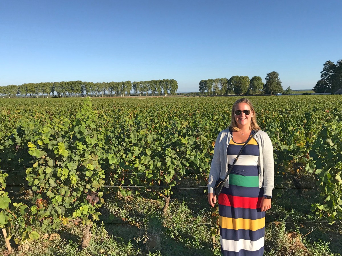 Burgundy - Vineyards of Chateau de Pommard
