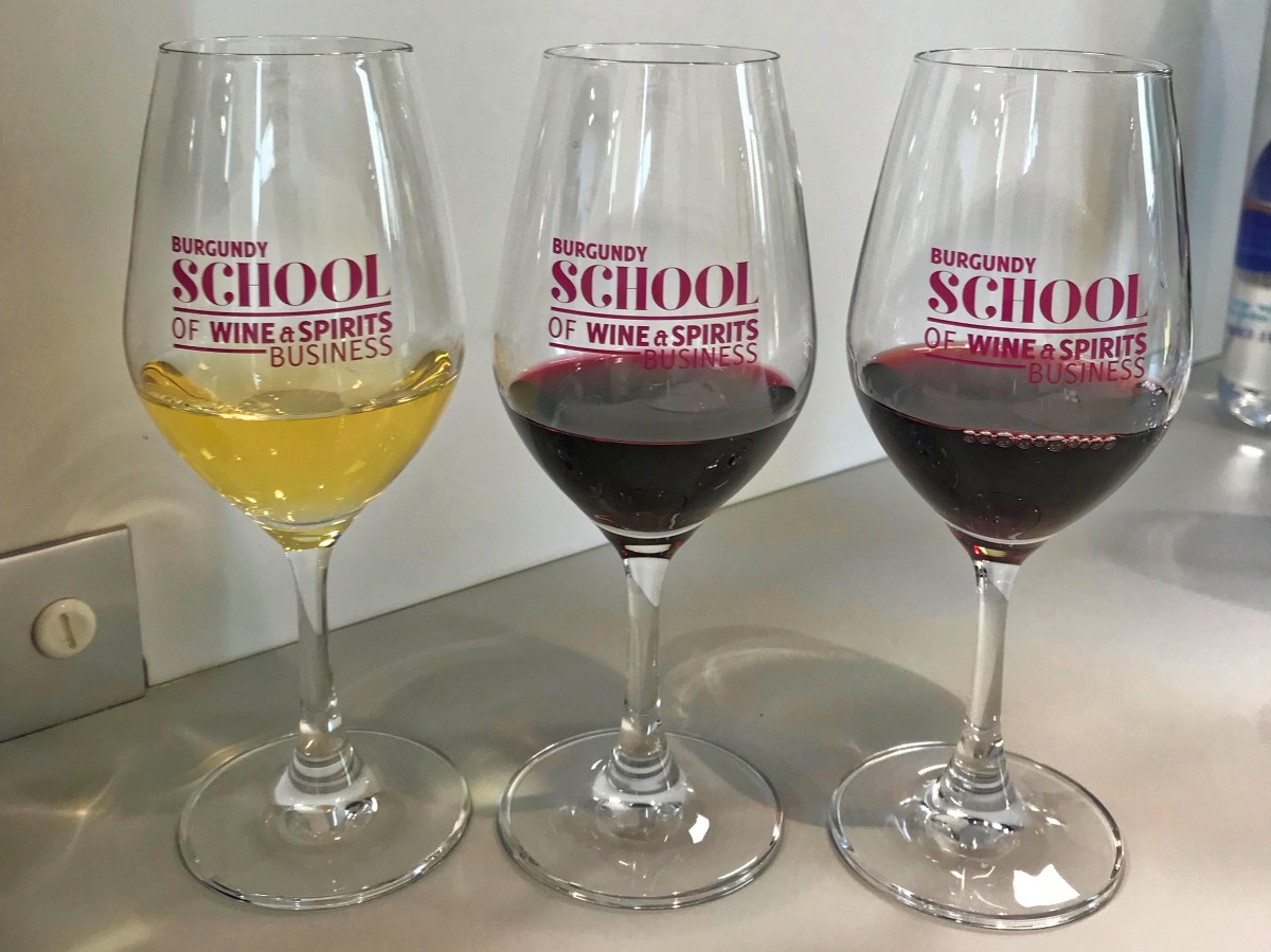 Burgundy - Wine tasting glasses