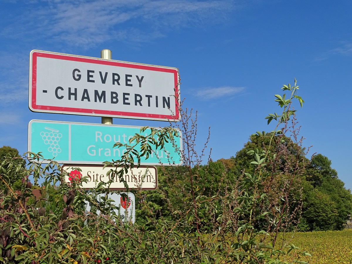 Burgundy - Gevrey Chambertin